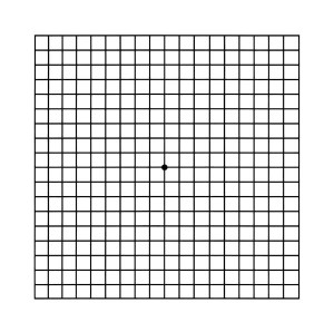 Amsler-grid